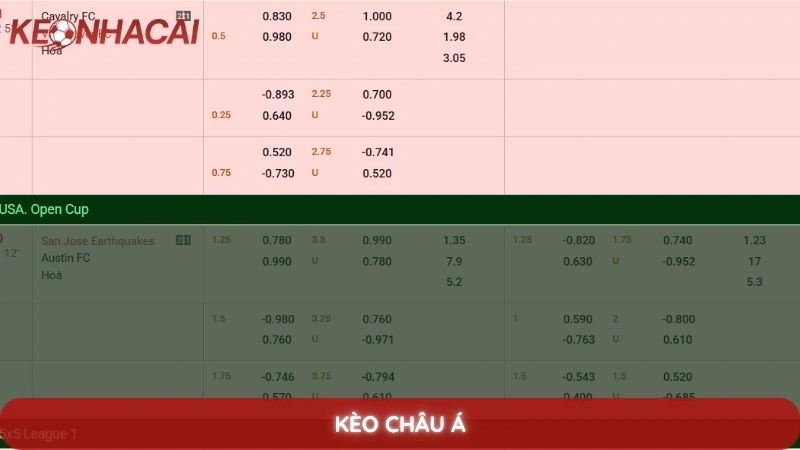 Kèo Châu Á - Hướng dẫn đọc kèo Handicap chi tiết cho người mới 2 Kèo Châu Á
